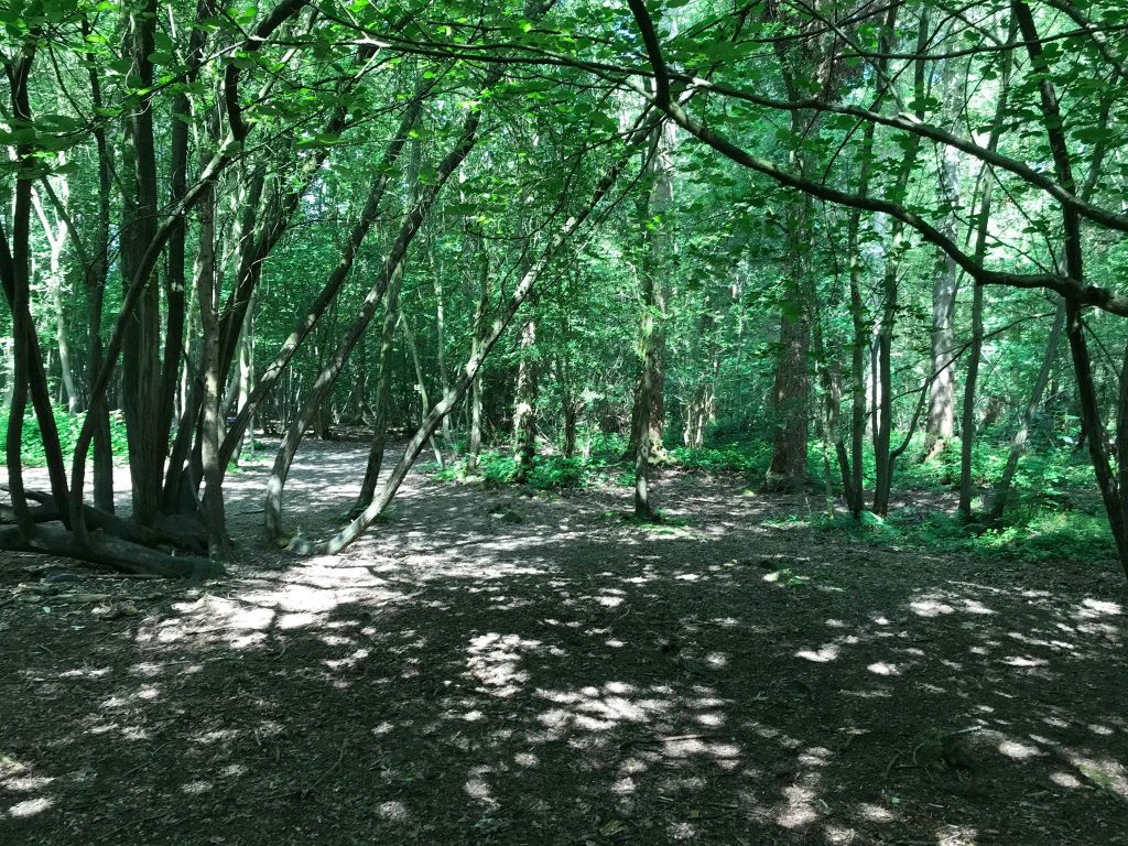 Explorers at Hadnall