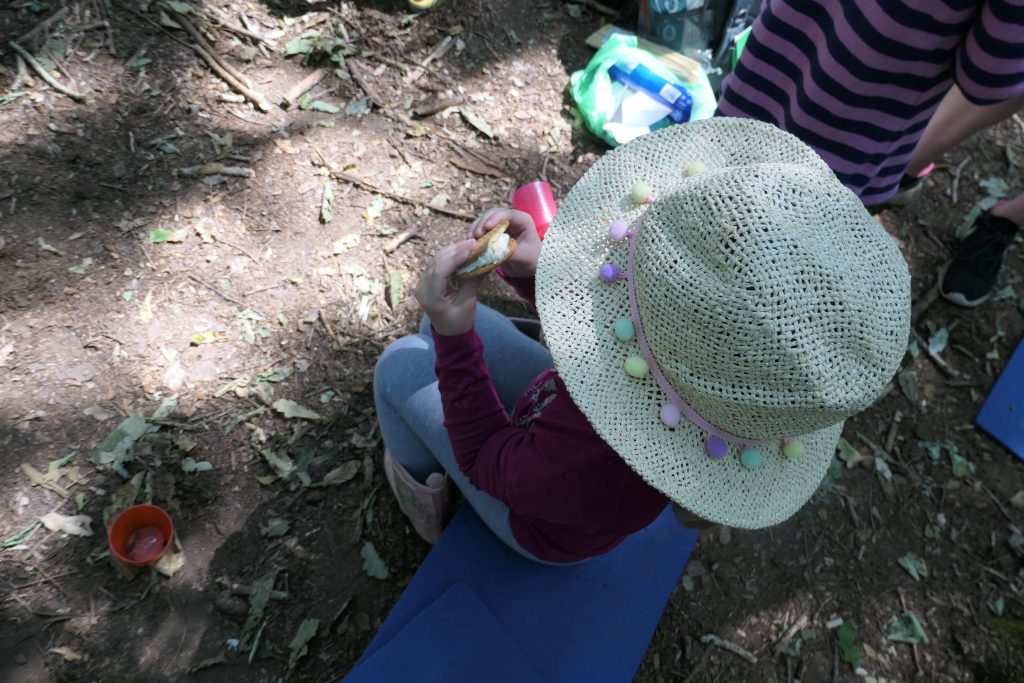 Explorers at Hadnall